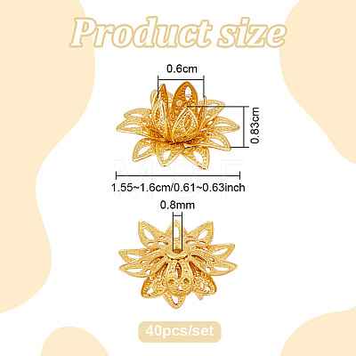 40Pcs Brass Bead Caps KK-PH0015-25G-1
