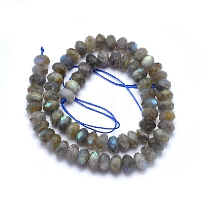 Natural Labradorite Beads Strands G-O170-59E-1