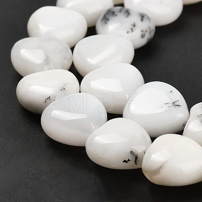 Natural White African Opal Beads Strands G-H005-C10-01-1