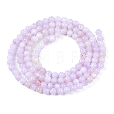 Natural Freshwater Shell Beads Strands BSHE-T009A-01G-1