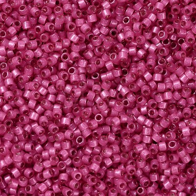 MIYUKI Delica Beads X-SEED-J020-DB2175-1