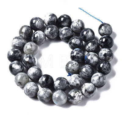 Natural Labradorite Beads Strands G-N328-49E-01-1