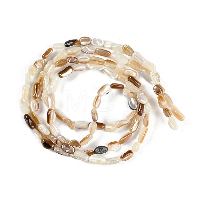 Natural Seashell Beads Strands BSHE-H109-09-1
