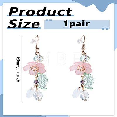 1 Pair Zinc Alloy Resin Tassel Dangle Earrings EJEW-LP0013-15-1