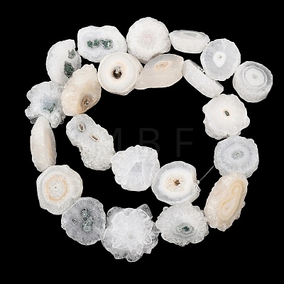 Natural Sunflower Druzy Agate Slice Beads Strands G-K381-A01-1