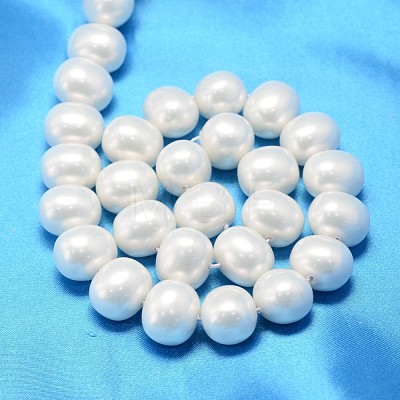 Oval Shell Pearl Bead Strands BSHE-L013-L-A013A-1