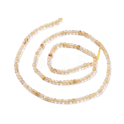 Natural Gold Rutilated Quartz Beads Strands G-C009-B17-1