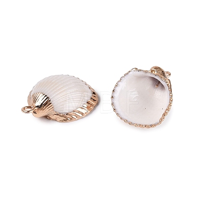 Electroplated Golden Brass Trim Natural Sea Shell Pendants SSHEL-N042-30-1
