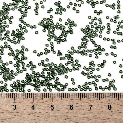 MIYUKI Round Rocailles Beads X-SEED-G009-RR0306-1