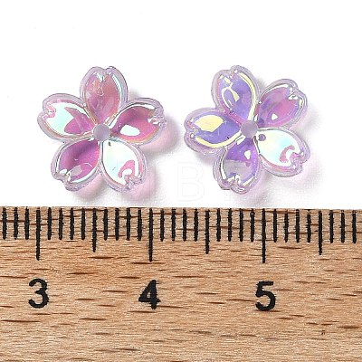 Transparent ABS Plastic Beads Cap FIND-B043-03B-1