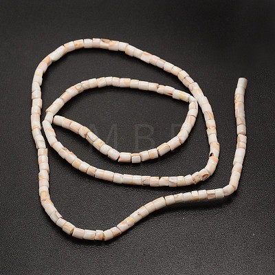 Column Natural Spiral Shell Red Lip Shell Beads Strands SHEL-E355-19-1
