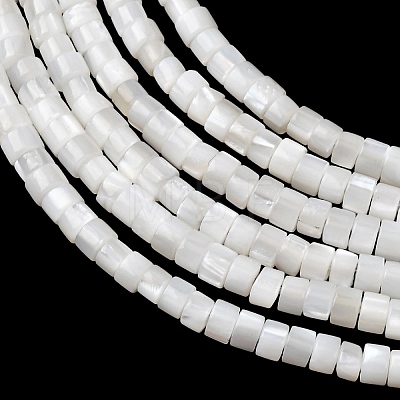 Natural Freshwater Shell Beads Strands SHEL-K006-72C-1