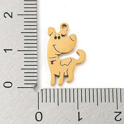 201 Stainless Steel Pendants FIND-z009-06G-1