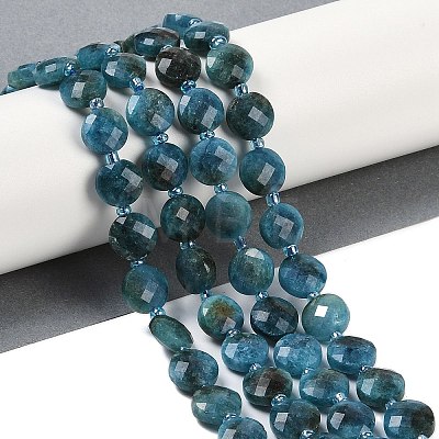 Natural Apatite Beads Strands G-B094-A27-01-1