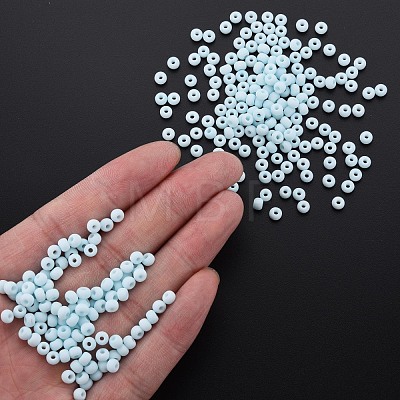 6/0 Glass Seed Beads SEED-T005-14-B19-1