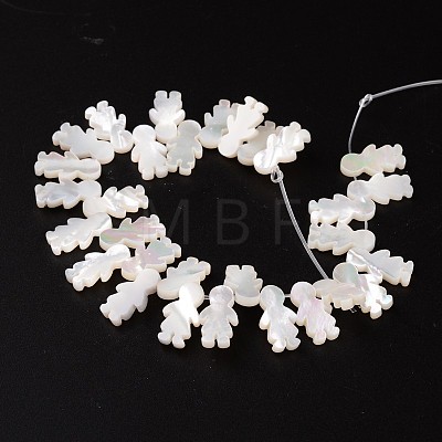 Natural Shell Beads BSHE-O015-13-1