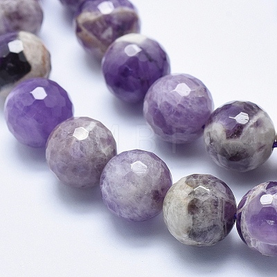Natural Amethyst Beads Strands G-K256-52-12mm-1
