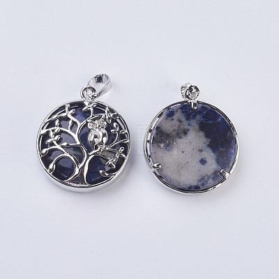 Natural Sodalite Pendants G-K234-E01-1