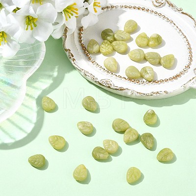 30Pcs Natural Chinese Jade Carved Beads G-CJ0001-85-1