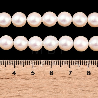 Electroplated Shell Pearl Beads Strands BSHE-C011-01B-1
