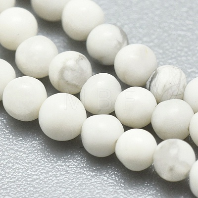 Natural Howlite Beads Strands G-A177-04-24-1