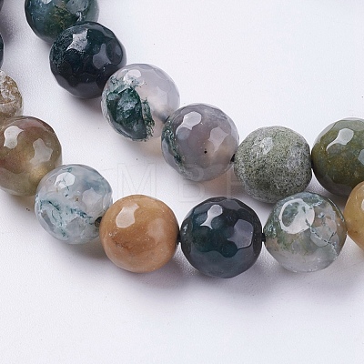 Natural Indian Agate Beads Strands G-G542-10mm-19-1