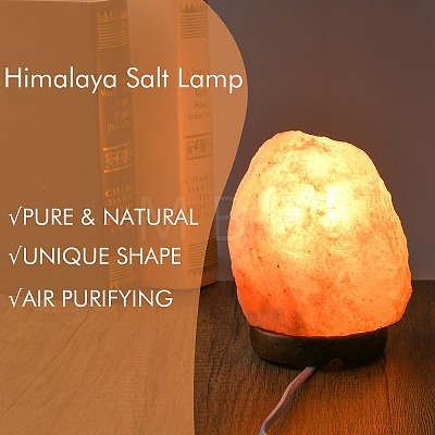 Natural Himalayan Rock Salt Lamp DJEW-P002-01A-1