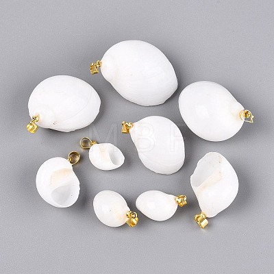 Brass & Natural Spiral Shell Pendants SHEL-Q029-12KCG-1