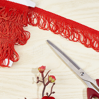 Polyester Tassel Lace Ribbon DIY-WH0308-535B-1