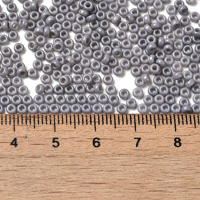 Baking Paint Glass Seed Beads SEED-P006-03A-27-1