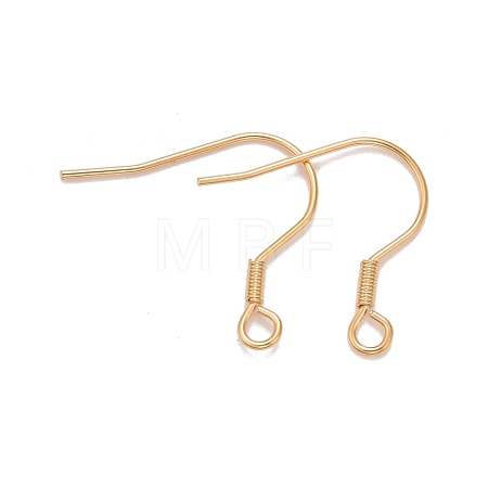 304 Stainless Steel Earrings Hooks STAS-P227-06G-1