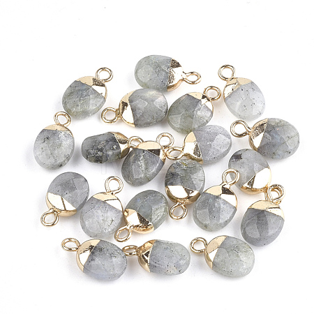 Electroplate Natural Labradorite Charms X-G-S344-09D-1