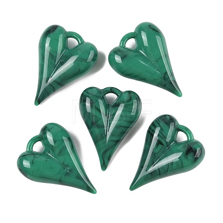 Acrylic Pendants OACR-M025-01B-1