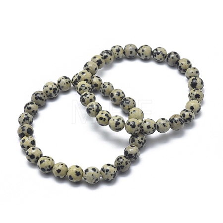 Natural Dalmatian Jasper Bead Stretch Bracelets BJEW-K212-B-014-1