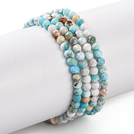 Natural Howlite Beads Strands G-C025-02A-07-1