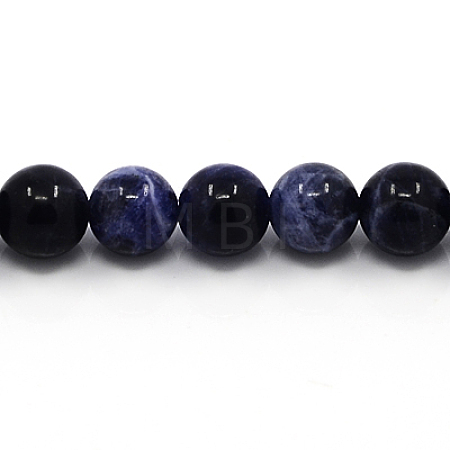 Natural Sodalite Beads Strands G-G515-12mm-07-1