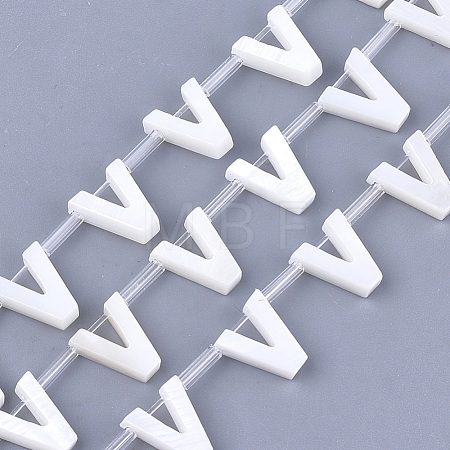 Freshwater Shell Beads X-SHEL-T012-59V-1