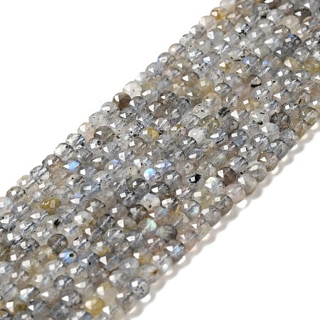 Natural Labradorite Beads Strands G-D470-10-1