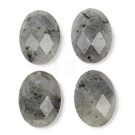 Natural Labradorite Cabochons G-G760-A15-1