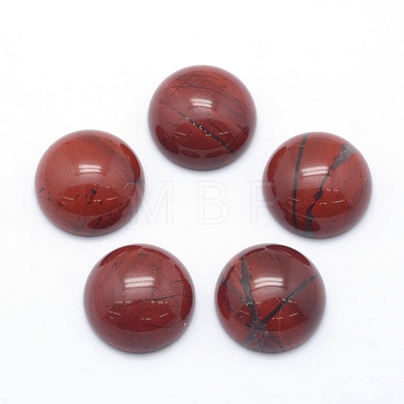 Natural Red Jasper Cabochons X-G-P393-R44-12MM-1