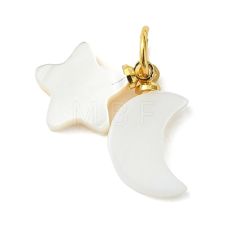 Natural Freshwater Shell Pendants PALLOY-JF05399-1