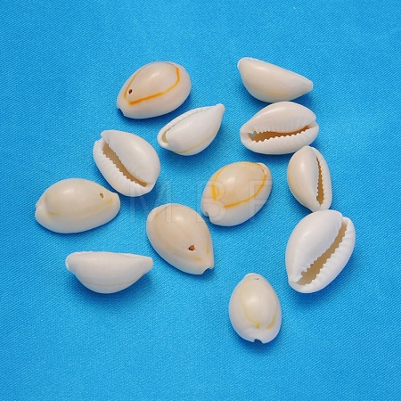 Natural Cowrie Shell Beads X-BSHE-S056-1