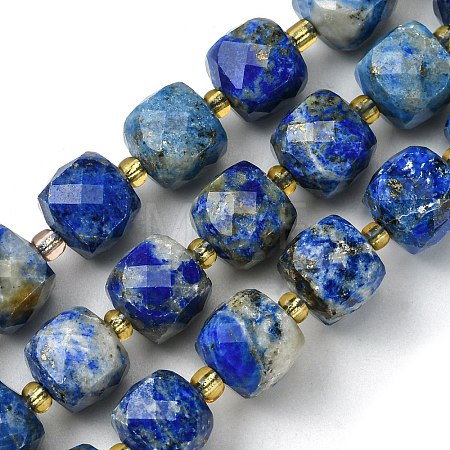 Natural Lapis Lazuli Beads Strands G-Q010-A03-01-1