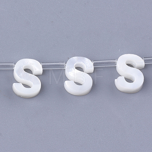 Natural Sea Shell Beads SHEL-T012-60S-1