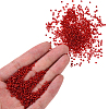 3000Pcs Glass Seed Beads SEED-PA0001-29A-01-3