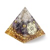 Orgonite Pyramid Resin Energy Generators DJEW-D013-04E-2