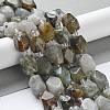 Natural Larvikite Beads Strands G-C182-17-01-2