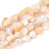 Natural Sea Shell Beads Strands SSHEL-N041-02A-1