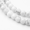 Natural Howlite Bead Strands G-G735-66-4mm-4