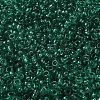 Transparent Colours Picasso Glass Round Seed Beads SEED-B001-06A-09-3